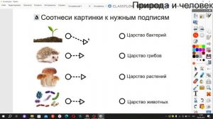 Урок окружающего мира 3 класс, тема: "Человек и природа".