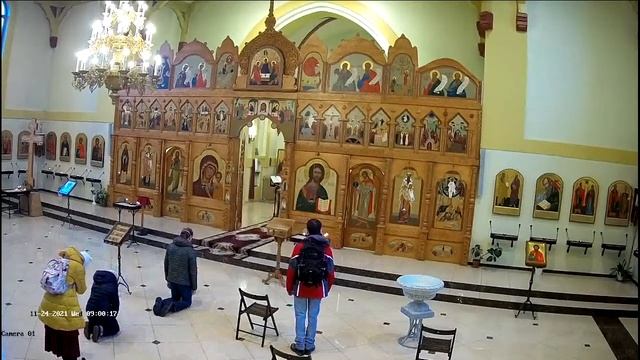 Божественная литургия, начало трансляции богослужения 24.11.2021 в 8-00 смотреть онлайн