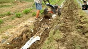 ВЕЕРНЫЕ КАРТОФЕЛЕКОПАЛКИ РАЗНЫХ СТРАН МИРА, ПОДБОРКА/HARVESTING POTATOES IN DIFFERENT COUNTRIES