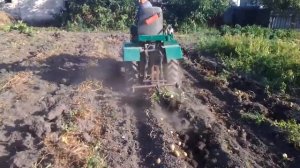 уборка картофеля самодельным мини трактором