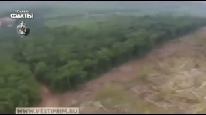 Захват Китаем дальнего востока !