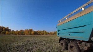 закончили возить кукурузу на силос