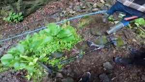 Define Ustası En Heyecanlı Define Bulma Anları! 5 Moments of Finding Treasure!