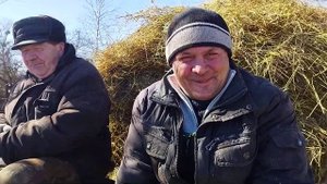 ЛОШАДИ/ Цыган на лошади приехал за сеном