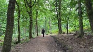 La cattedrale nella foresta