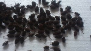 кондиционер для аквариума смягчает воду в аквариуме