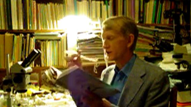 Энтомологу: Супер-книга о коллекциях для энтомологов (Голуб В., Цуриков М., Прокин А.)!