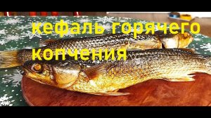 Кефаль горячего копчения.Коптильня для дачи.