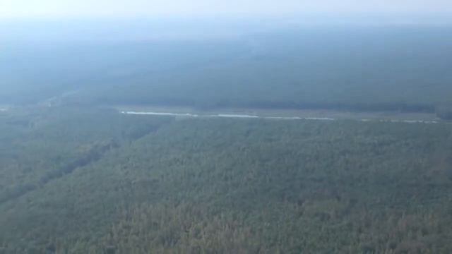 Белорусские леса под надежной защитой смотреть онлайн