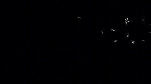 Новое интро | Archplanet Fesko NFS No Limits™