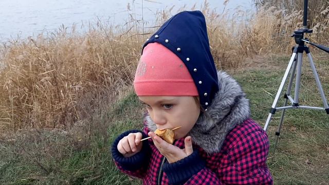 СВЕЖИЙ ВОЗДУХ. ЛЕС. СТАВОК.         #лесотдыхставок