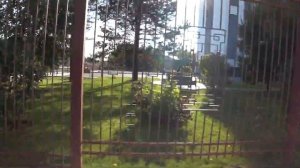 Стрежевой ул Мира. Без рекламы и комментариев )