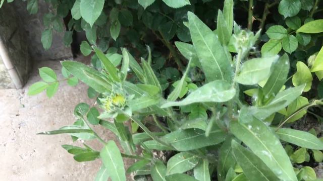 May 4, 2020 смотреть онлайн