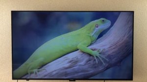 Лучшие мультимедиа плееры для Android TV / Как установить приложение с USB флешки