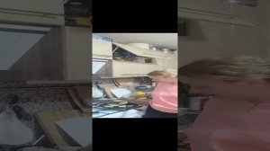 Блогер алкоголичка