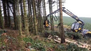 Ponsse scorpion king Scotland ???????