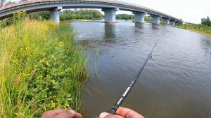 Рыбалка на реке ,в Перми и  Пермском крае. #пермЯК#спиннинг