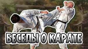 Беседы о карате. Интервью на злобу дня