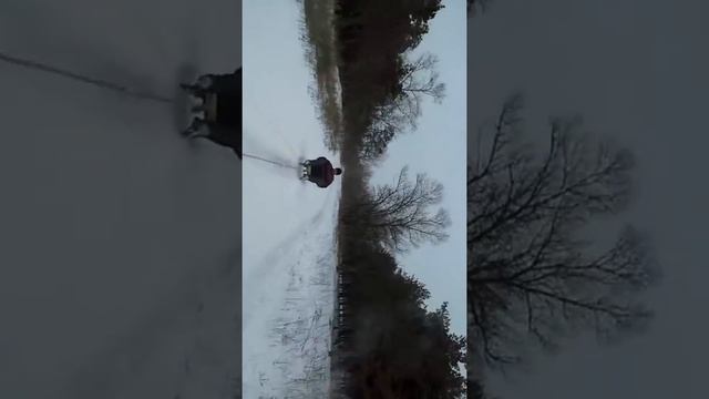 Быстрые санки с Ромой смотреть онлайн