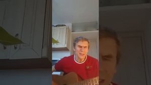гранитный камушек