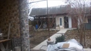 Рустам Рептилоид и Тамби Масаев гоняют котов (видео 2015 года)