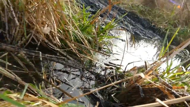 UNIMOG в болоте как Suzuki Vitara, УАЗ на БТРовских едет КРУТО off road 4x4 смотреть онлайн