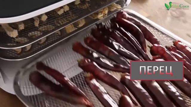 Как работают дегидраторы? Первый в мире бесшумный инфракрасный дегидратор Lequip IR D5 смотреть онлайн