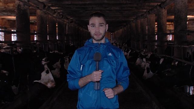 В деревне Ларино Ярославского района произошел ночной пожар в коровнике смотреть онлайн