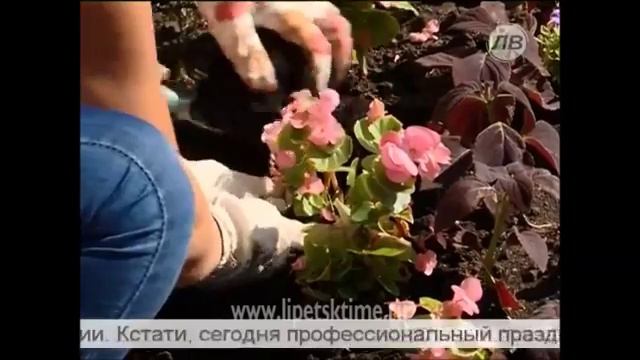 День работника антимонопольных органов в Липецке (сюжет _ЛВ_).mp4