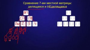 ЗАГАДКА ДЛЯ СЕТЕВИКОВ Чем отличается Неделящаяся матрица от делящейся