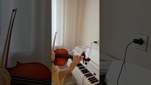 скрипка 3/4  для Авито