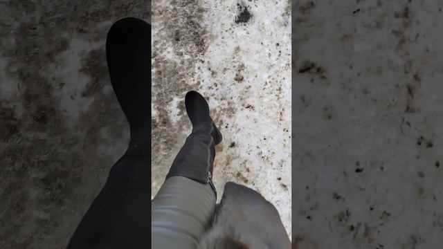 Обзоры и распаковка новой обуви