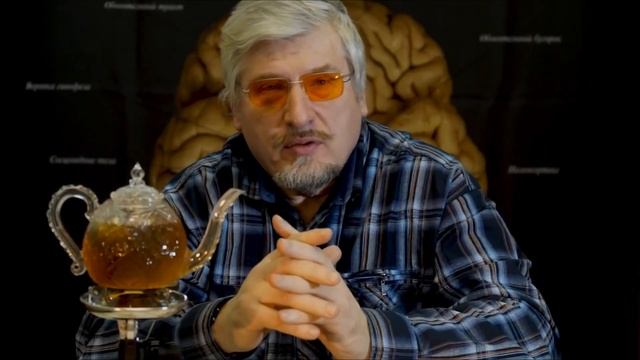 С. В. Савельев об ассоциативных зонах у птиц смотреть онлайн