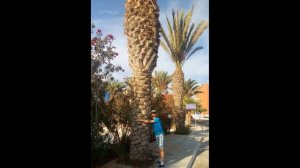 Crystal Springs Beach Hotel *4 Кипр Протарас октябрь 2018г. вторая часть