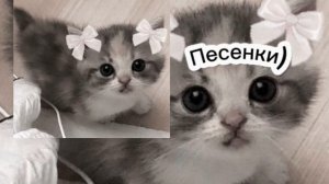 4:30 || Все песни тут❤️