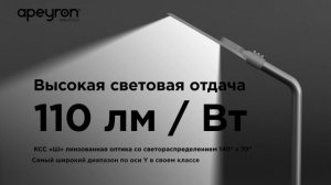 Светодиодные уличные консольные светильники Apeyron Electrics