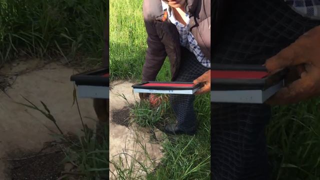 Замена воздушного фильтра Сузуки Витара 1,6. Двигатель м16а смотреть онлайн