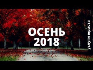 Услуги юриста осень 2018