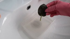 Профилактическая обработка листьев перед посадкой в грунт на фитильный полив.