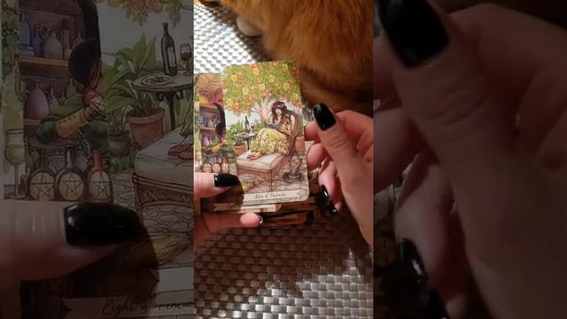 Обзор колоды с алиэкспресс "Таро ведьма на каждый день" смотреть онлайн