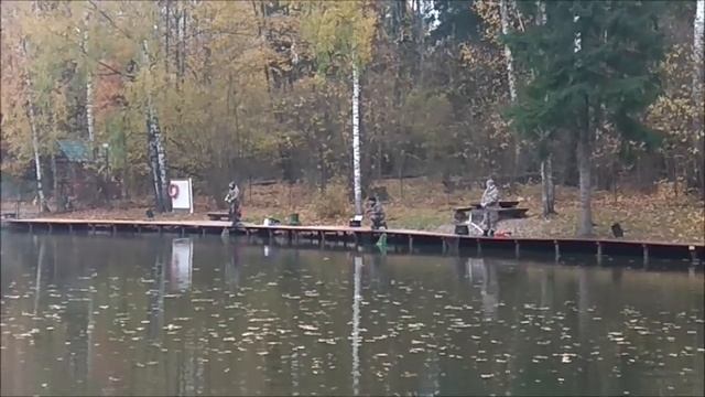 Работают приманки в шартрезно-зелёных тонах. Клёвое место, Лосиный остров, спорт-зона. смотреть онлайн