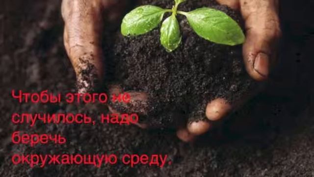 Почему мы должны беречь природу