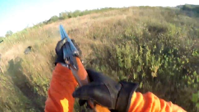 Охоты с моими дратхаарами  на перепела. Сезон 2017 Ростовская обл.