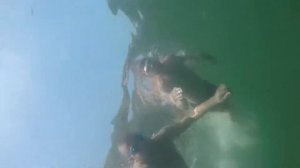 Отдых в с. Андреевке 2016 год (Приморский край)