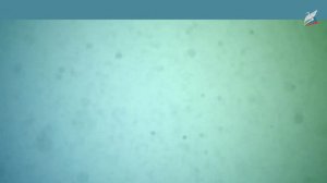 Обмен веществ и превращение энергии в клетке