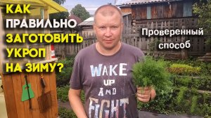 Как правильно заготовить укроп на зиму? Проверенный способ.