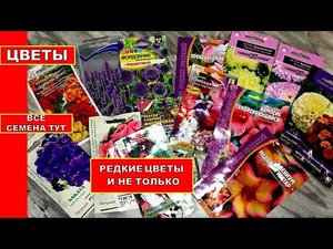 ЦВЕТЫ ДЛЯ ДАЧИ?ЦВЕТЫ ОДНОЛЕТНИКИ,Многолетники Экзотические СОРТА И НЕ ТОЛЬКО ДЛЯ ОГОРОДА.Семена Тут