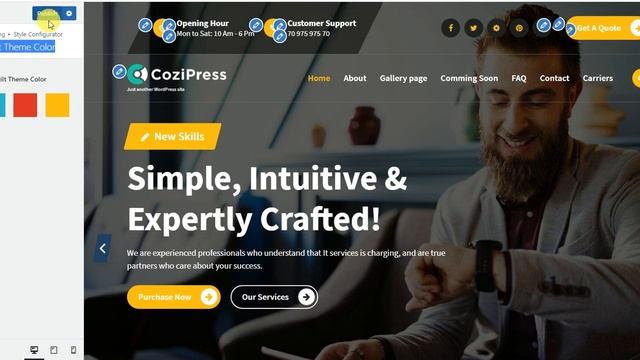 22) How to Manage Style Configurator in the WordPress Cozipress Pro Theme смотреть онлайн