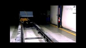 Как перевозить собак в авто?