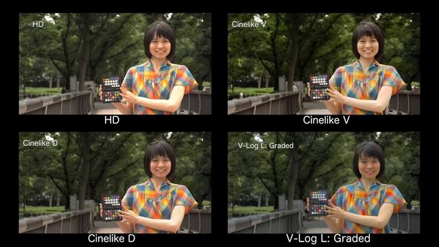 Panasonic AG-DVX200 TEST: VFR / V-Log L / ISO смотреть онлайн